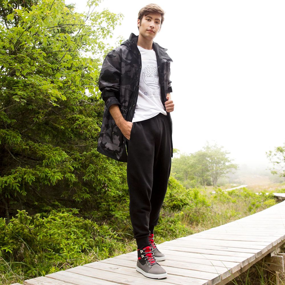 Botas Chukka Masculino - Timberland Davis Square - IPLKY5761 - Cinzentas